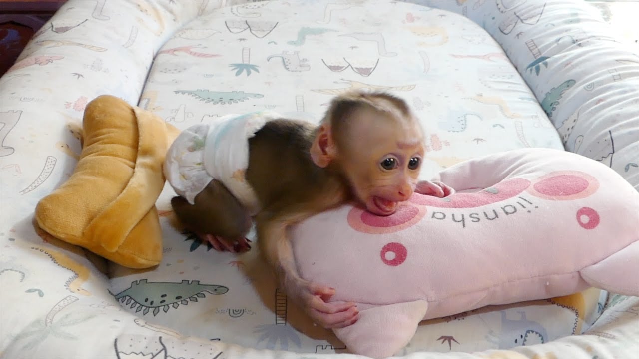 Poor Emma Cry Tantrum On Bed Angry Mom Late To Give Her Milk