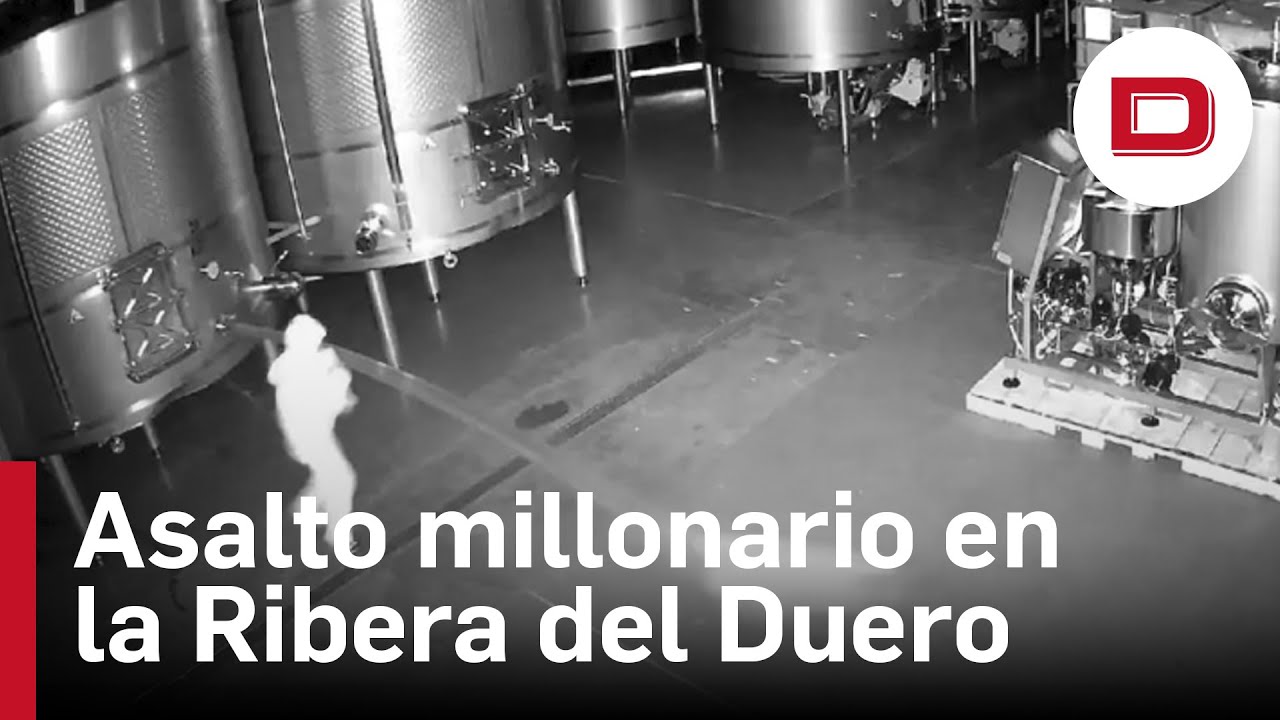 Vacían 60.000 litros de vino valorados en 2,5 millones de una famosa bodega en la Ribera del Duero