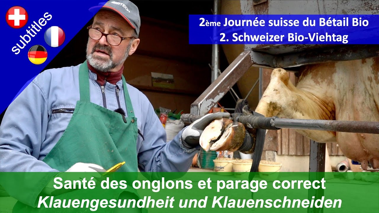 Santé des onglons et parage correct
