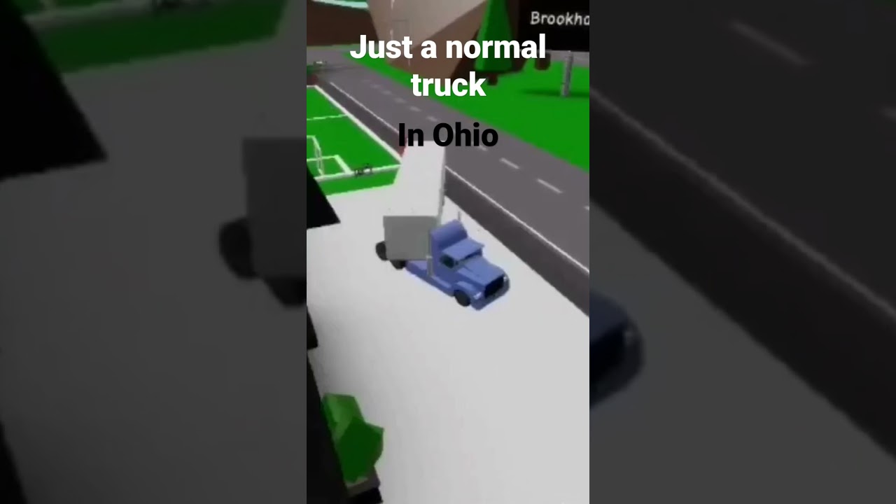 Just a normal truck in Ohio 💀 #shorts #roblox #brookhaven