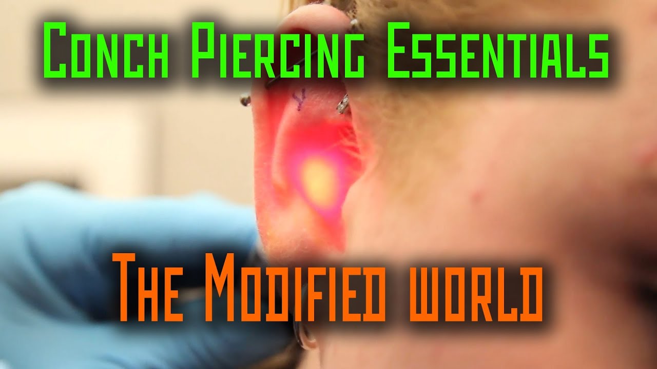 Conch Piercing Essentials- THE MODIFIED WORLD