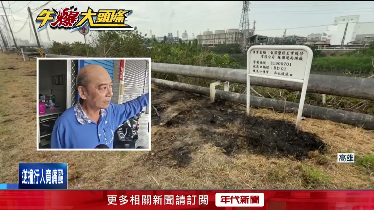 高雄男抓綠鬣蜥「長桿套索觸電」 身體燒傷送醫