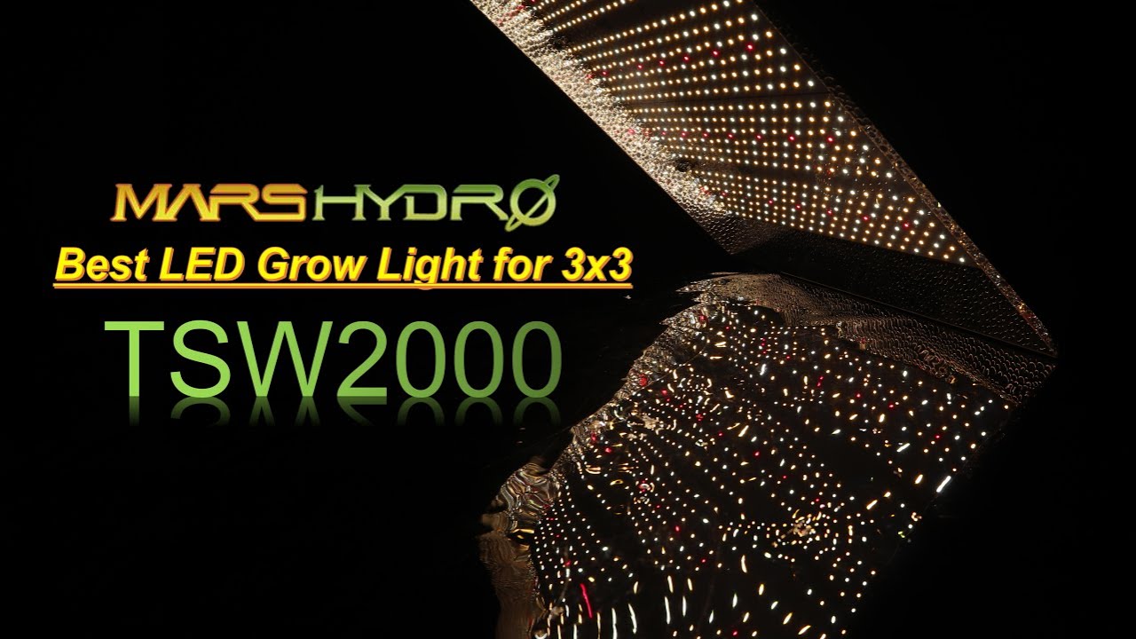 Mars Hydro TSW 2000 led grow light case study