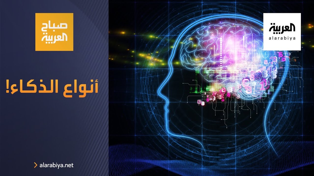 صباح العربية | أنواع الذكاء تختلف من شخص لآخر فكيف نحدد نوع ذكائنا؟
