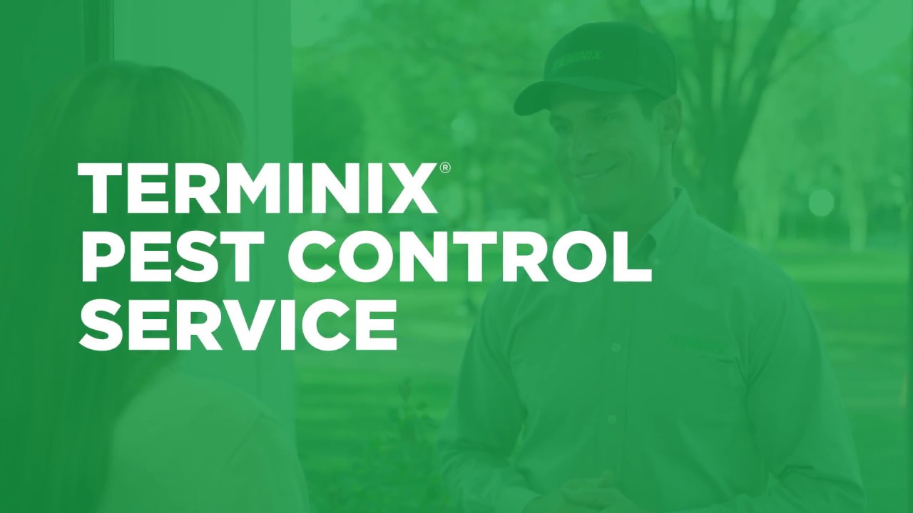 How Does Terminix Pest Control Work?