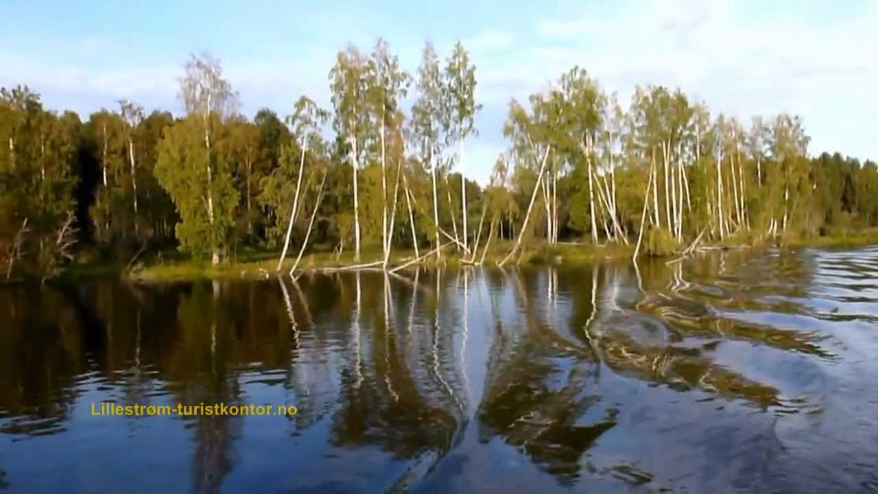Beversafari på Øyeren og Nitelva