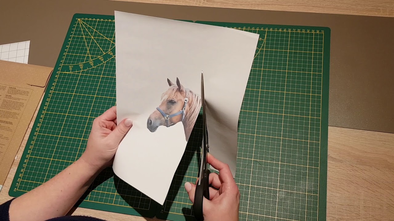Transfer Papier bedrucken und aufbügeln