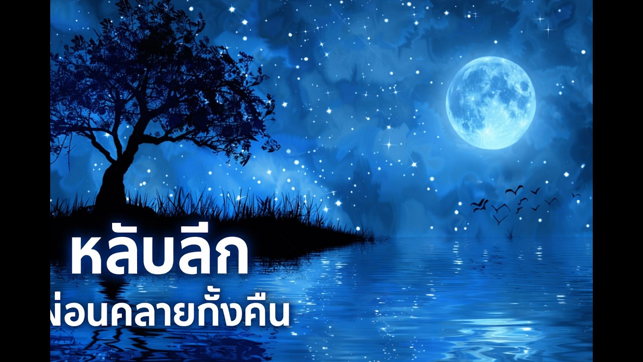 🌙 เสียงกบร้องใต้แสงจันทร์ | หลับลึก ผ่อนคลายทั้งคืน