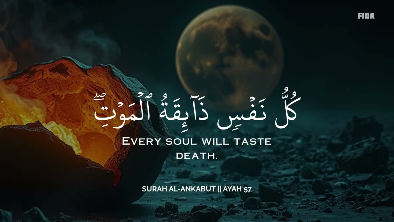 أرح سمعك وقلبك بالقرآن - تلاوة تقشعر لها الأبدان بصوت  محمد هشام | Mohamed Hesham  | 🧡🎧