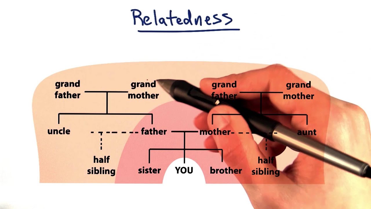 Relatedness - Tales from the Genome