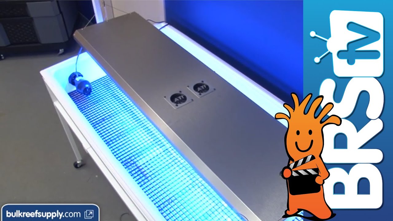 How to set up a Frag Tank for Polyps, Softies and Anemones -- EP: 2 Coral Propagation