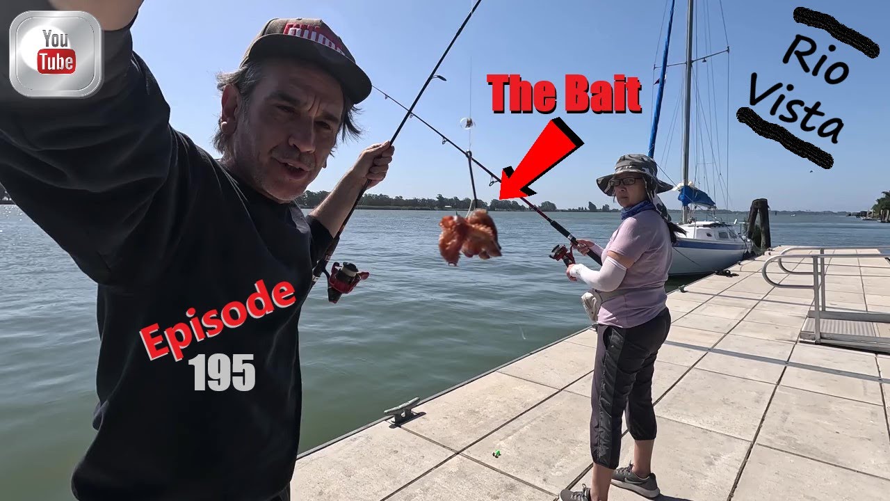 Fishing Rio Vista Dock Sacramento River Striper Run!