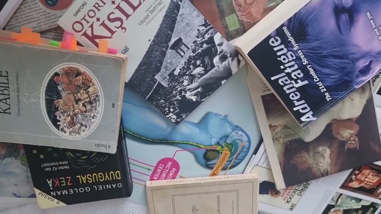Düşünen İnsan neden öyle değil de - Türkçe yazı