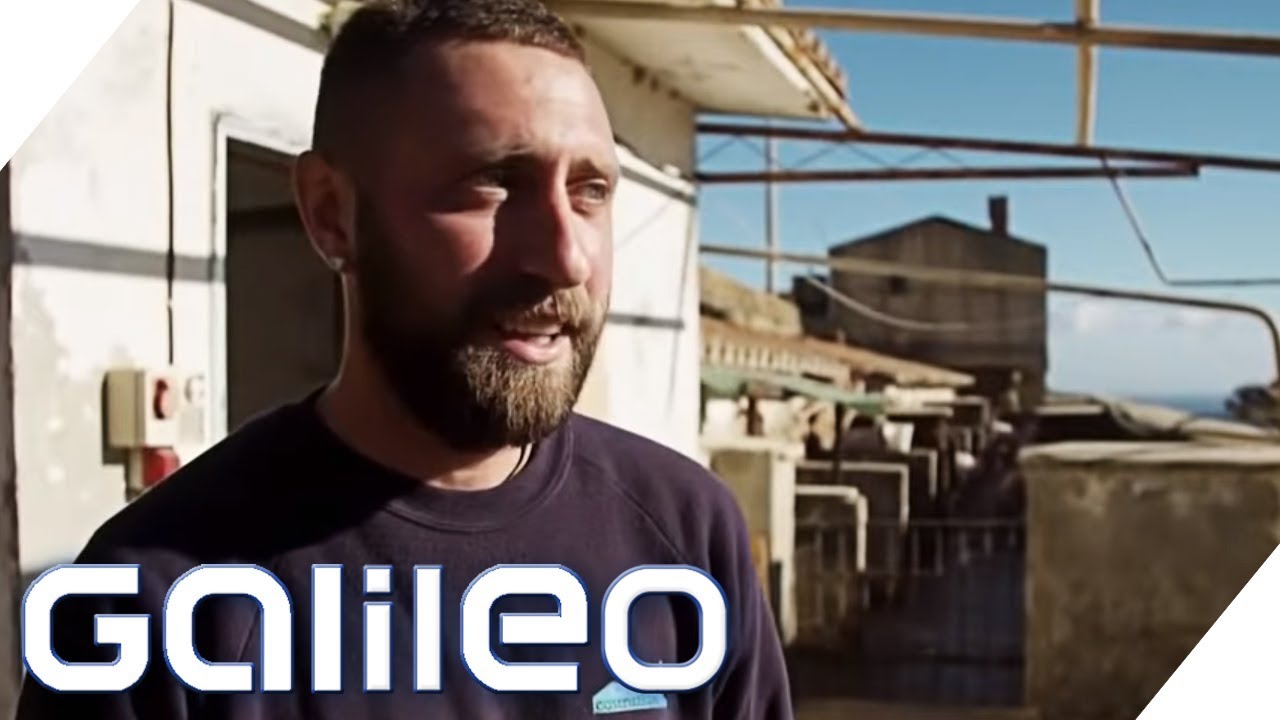 Gefängnis-Insel: Hier laufen die Schwerverbrecher frei herum | Galileo | ProSieben