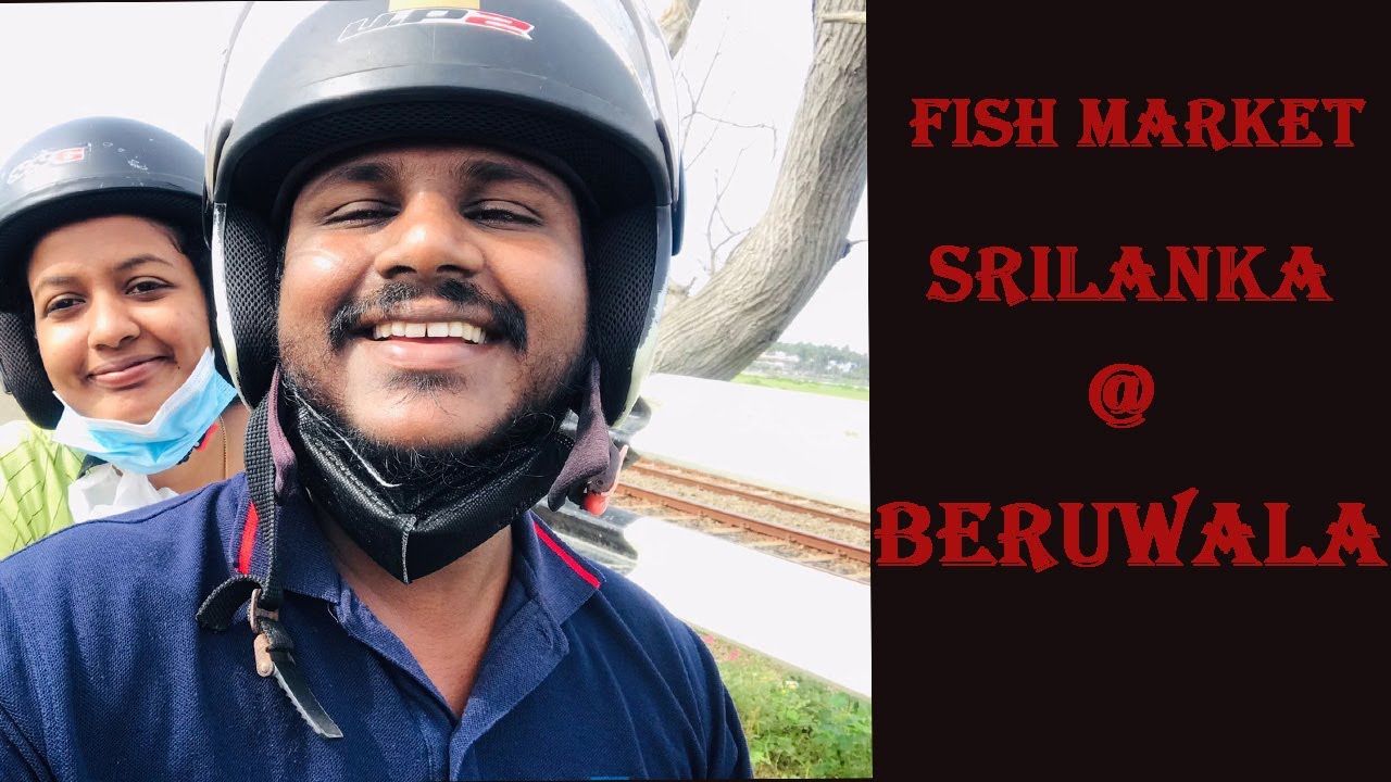 Famous Fish Market In Srilanka [Beruwala Fish Market][Fresh Fish]