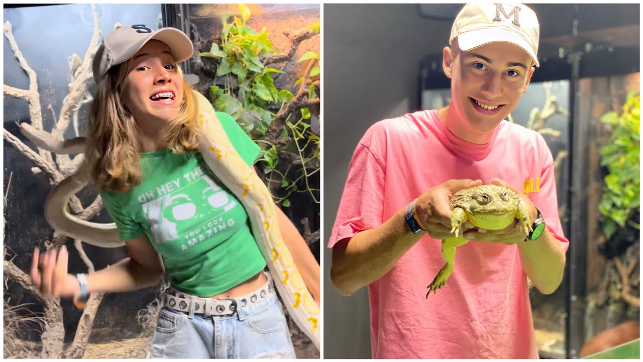 Vivimos en un hotel con animales exóticos - ZOO Terra Natura