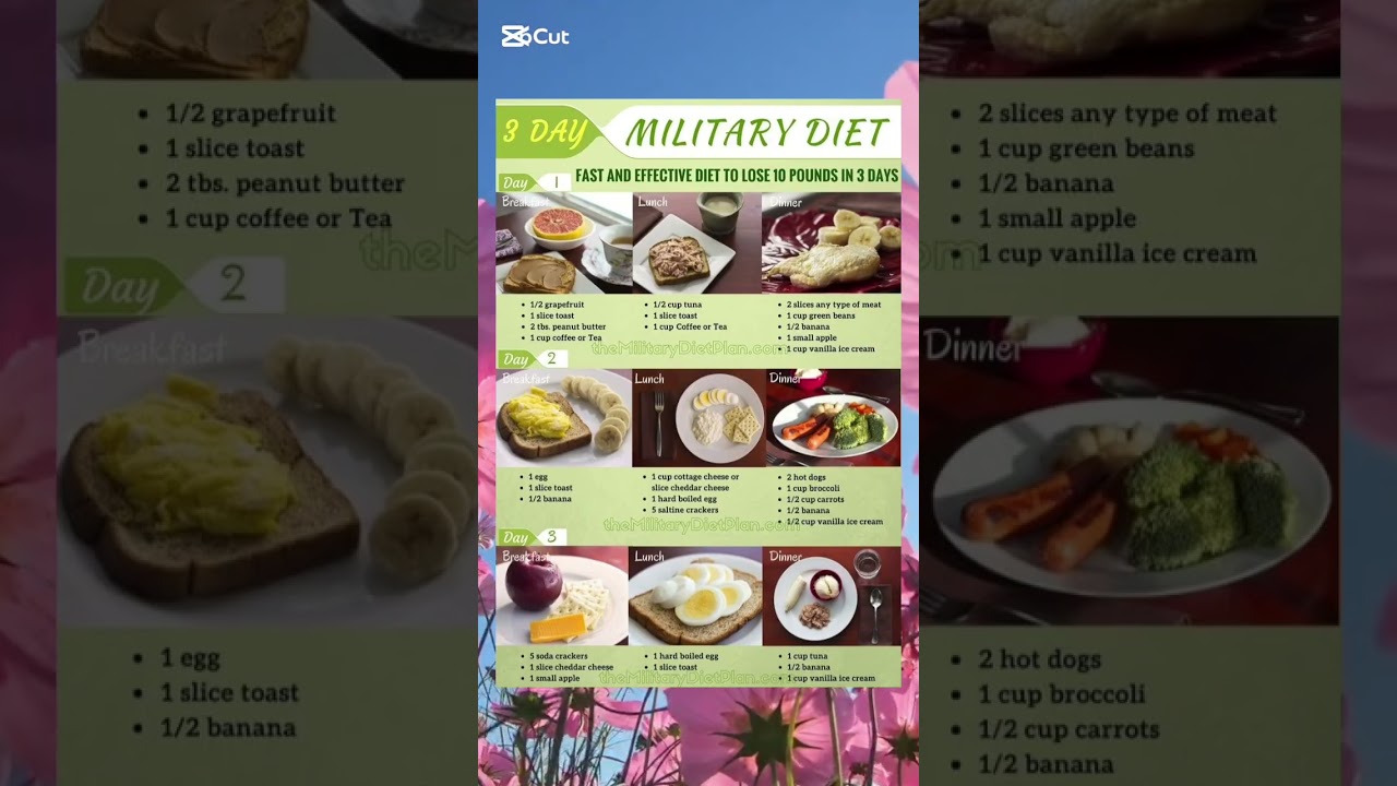 3-day Military Diet Plan