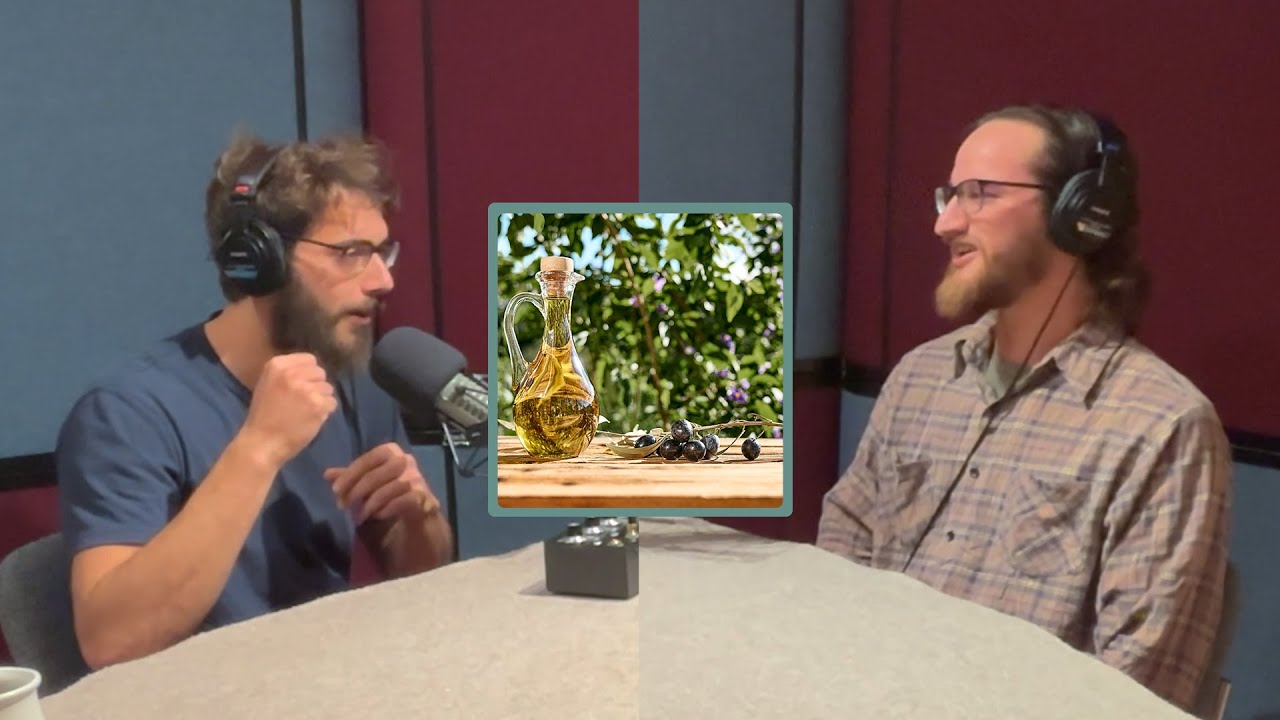 Why Olive Trees Are Special Specimens