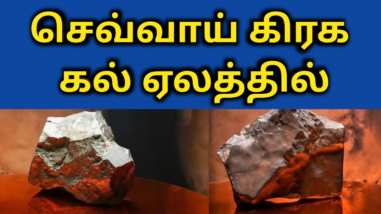 Mars Stone Auction 2025 USA in Tamil | செவ்வாய் கிரக கல் ஏலம்