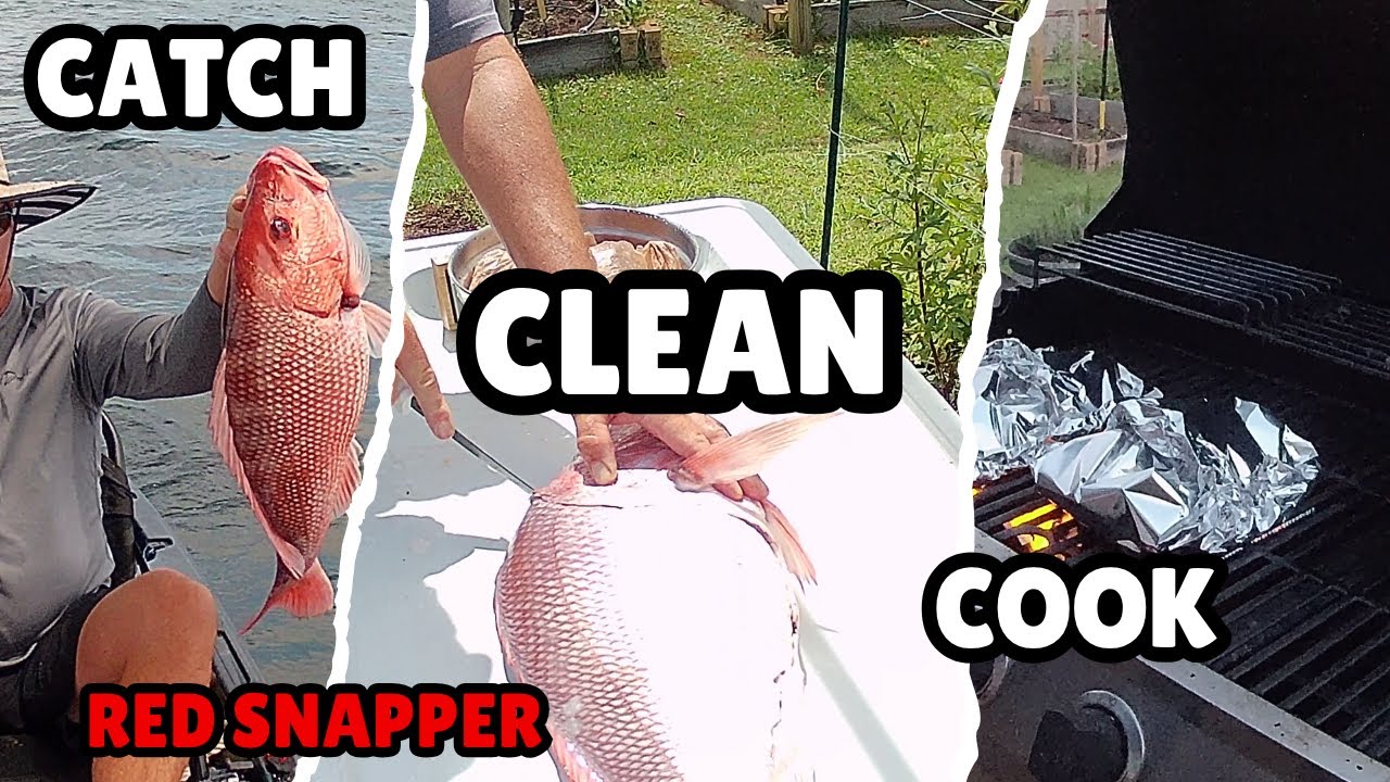 Catch Clean Cook Red Snapper