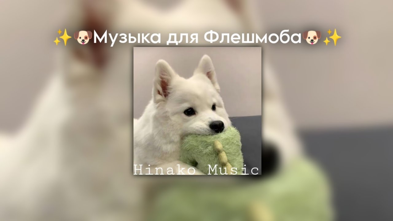 ✨🐶Музыка для Флешмоба🐶✨