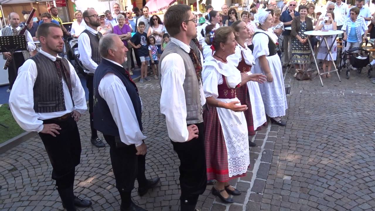 BRIXEN BRESSANONE ITALY 27.8.2016 - KALAMAJKA HAVL.BRROD-OKOLO BRODU  jalovec