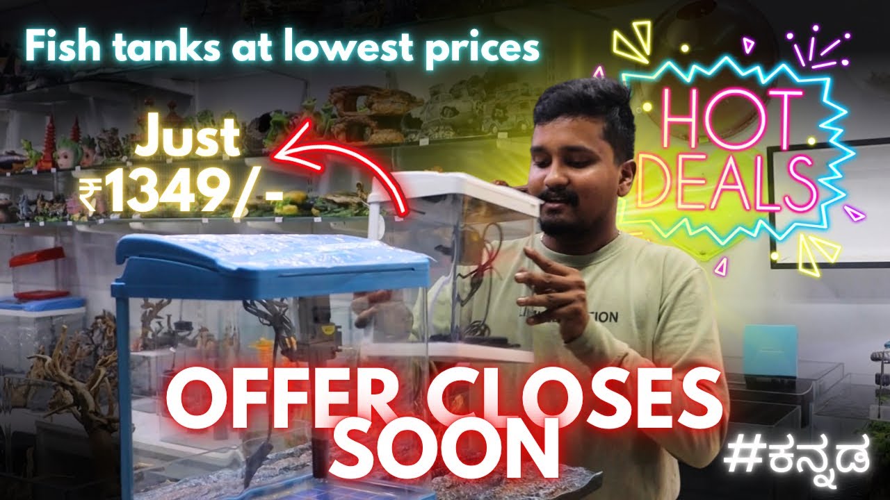 Unbeatable offers on Imported fish tanks | starts from ₹1350/- | Offer closes soon