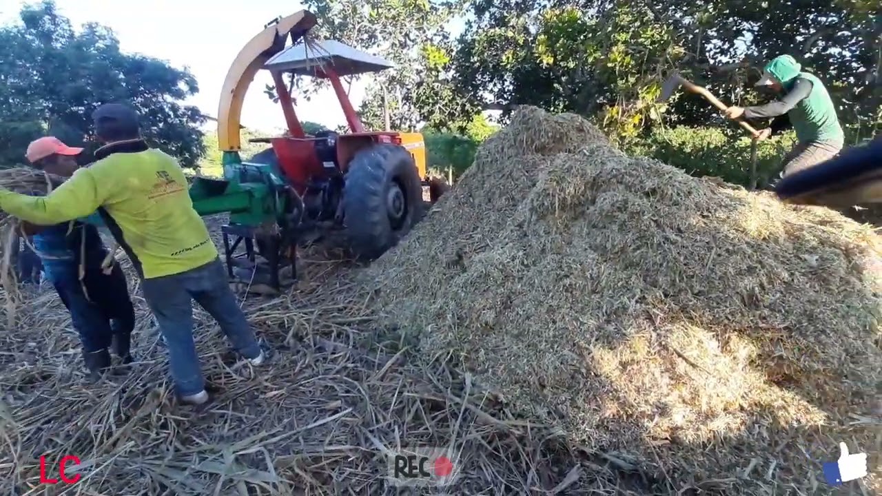 silagem a toda pressão