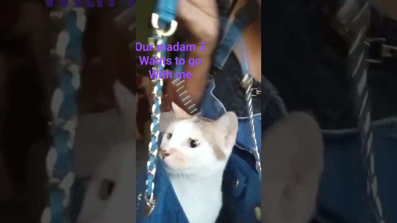wanna go with me...madam Z