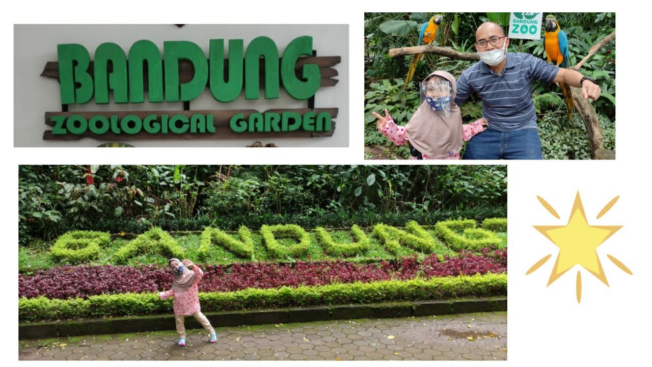 The Beauty of Bandung Zoological Garden (West Java)