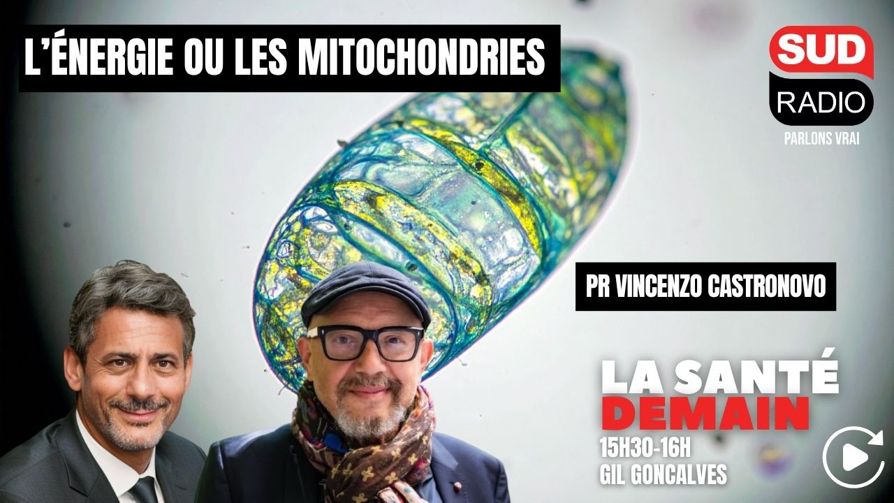 L’énergie ou les mitochondries - Emission du 15 mars 2026