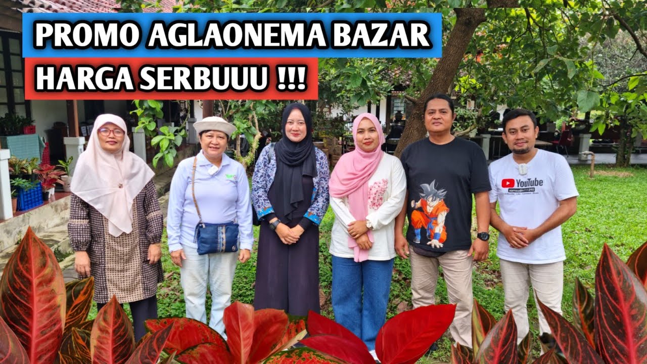 Promo aglaonema di Bazar harga serbuuu !!!