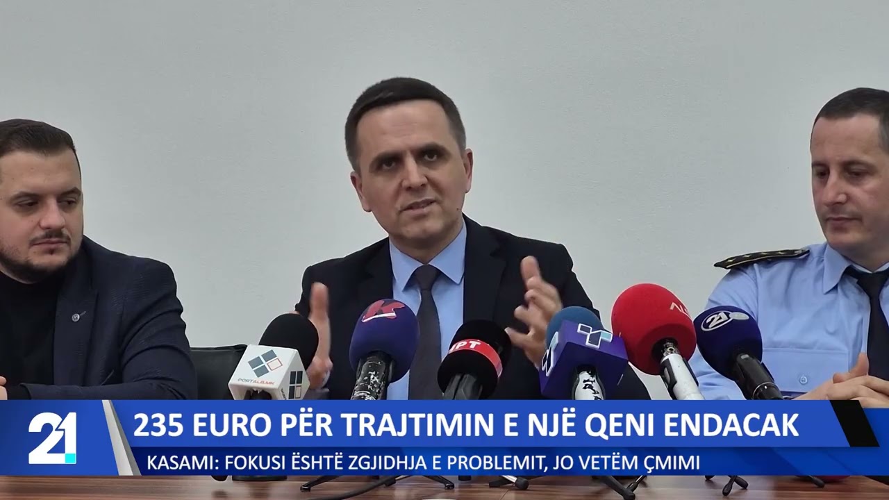 235 euro për trajtimin e një qeni endacak! Kasami: Fokusi është zgjidhja e problemit, jo vetëm çmimi