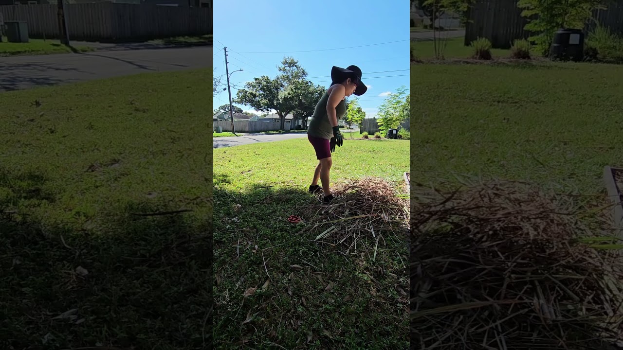BUHAY AMERICA NI KAILYAN NIYO. MAG GARDEN MUNA  BAGO PUMASOK SA TRABAHO. #highlights #viral #viraL