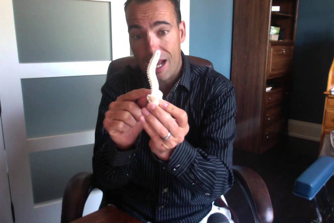 Should a baby use a jolly jumper? A Chiropractic Perspective