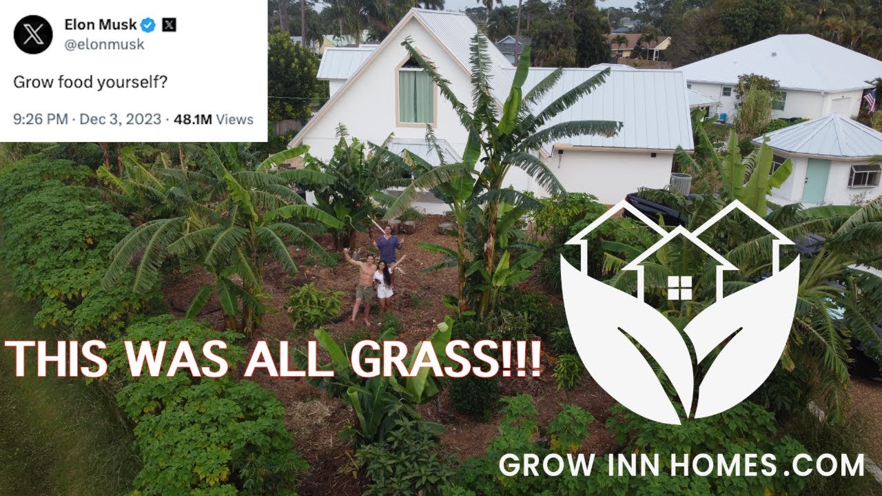 This Used to be Grass!!! Touring Our 3-year-old Food Forest in South Florida. GROW INN HOMES 🏢 🌱