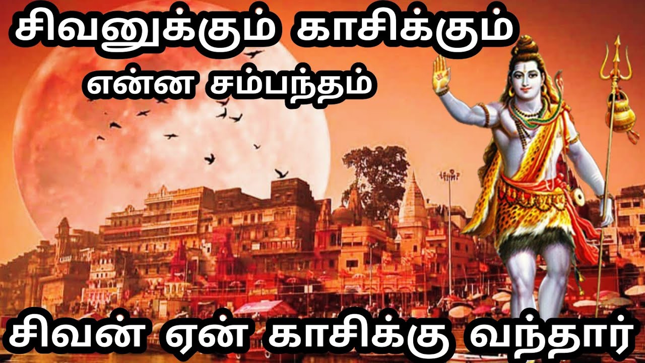காசியின் வரலாறு | Kasi Video | Varanasi Tourism | Kasi Vishwanathar history | Varanasi history Tamil