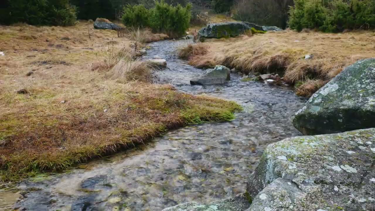 3 Hours of Gentle Mountain Stream in 4K 60fps: Instant Sleep & Deep Relaxation | Ultra HD Nature