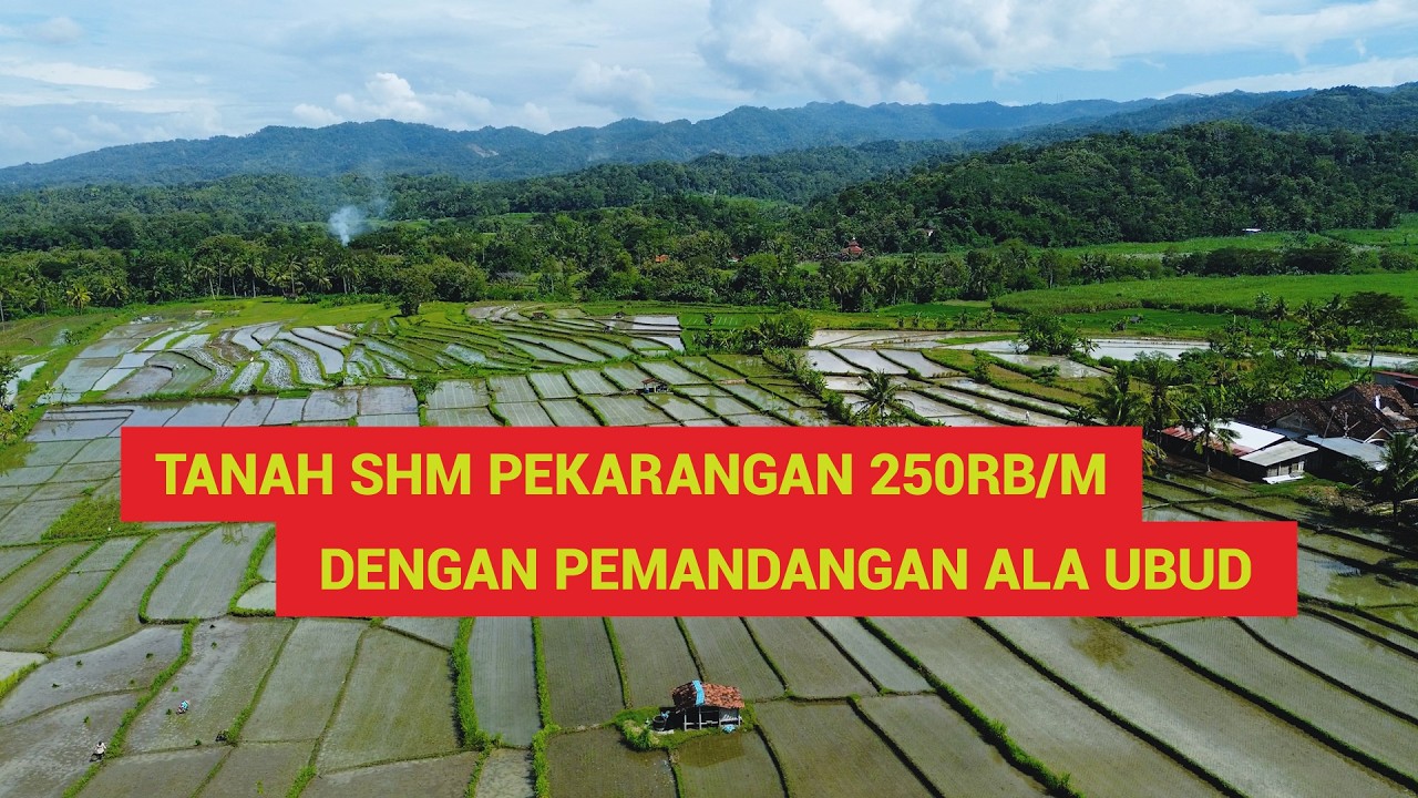 (SOLD) Tanah SHM Pekarangan 250rb/m² View Sawah Ala Ubud Bali
