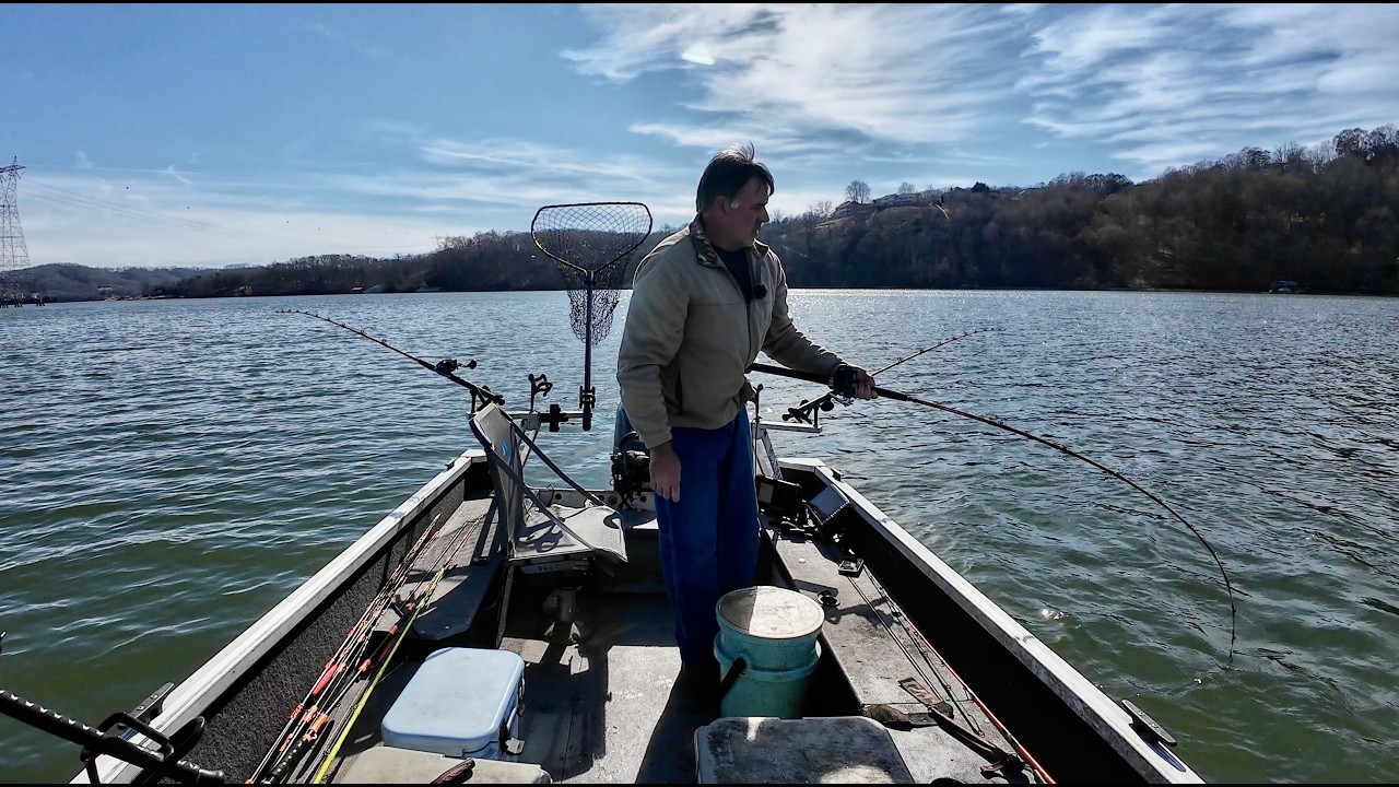 Winter Scouting Mission At Watts Bar Reservoir
