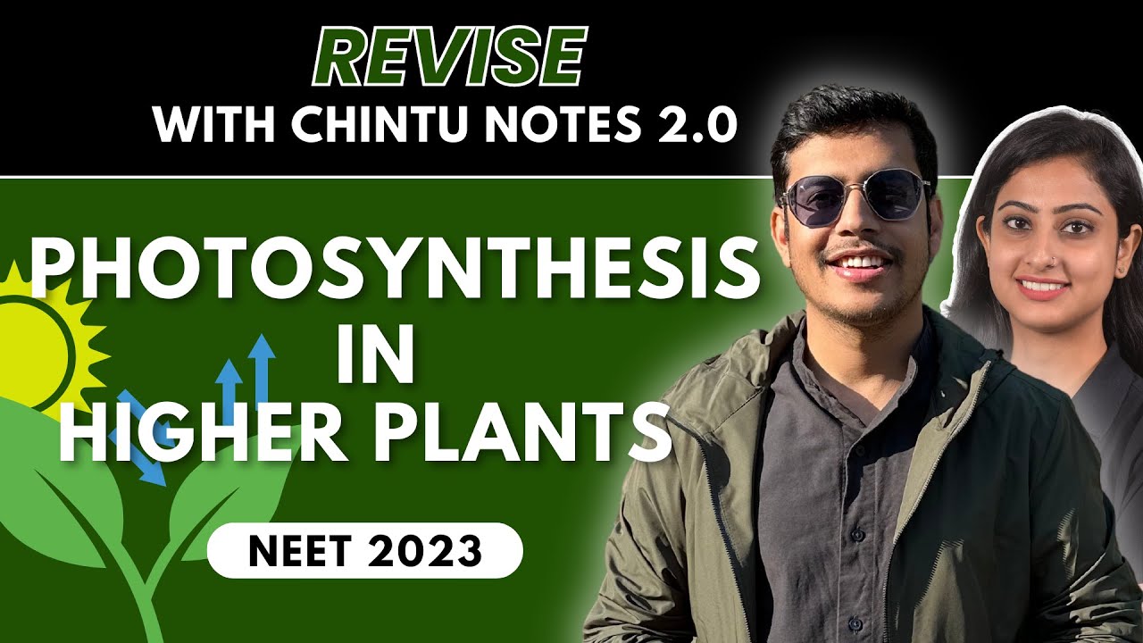Photosynthesis in higher plants | Chintu Notes 2.0 | NEET 2024 | Dr. Anand Mani