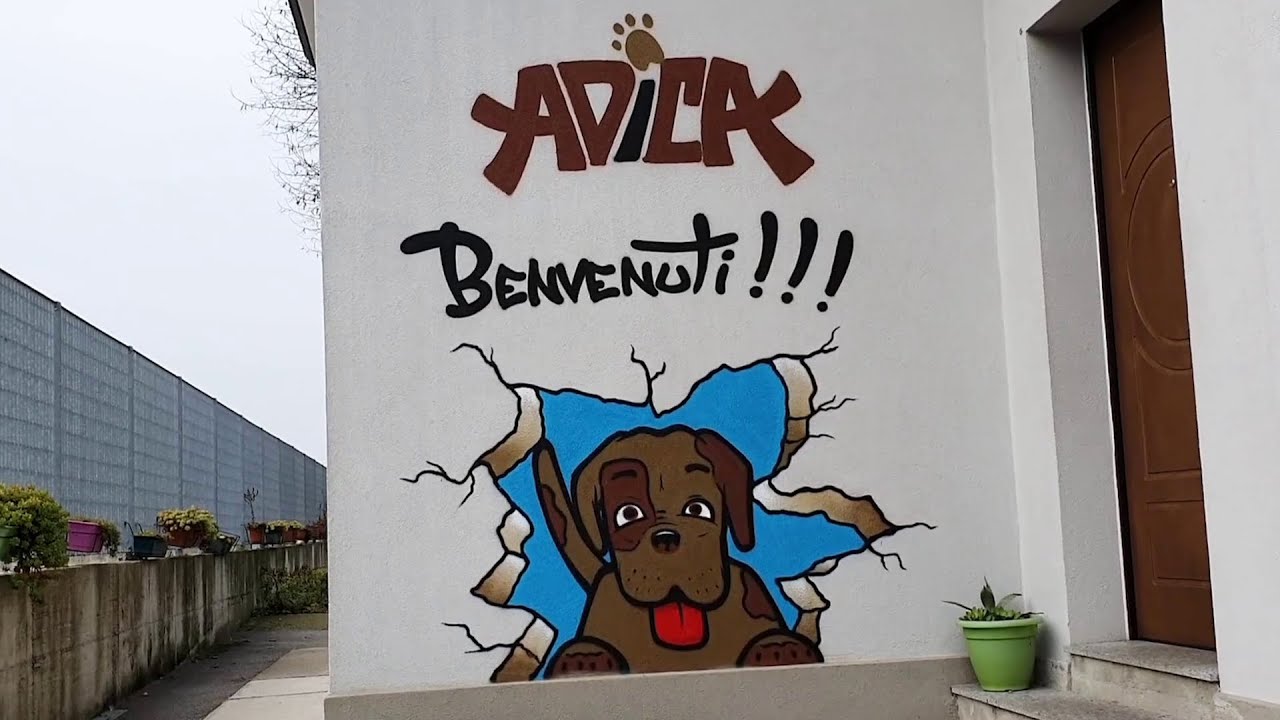 Vita da cani: ADICA Lodi