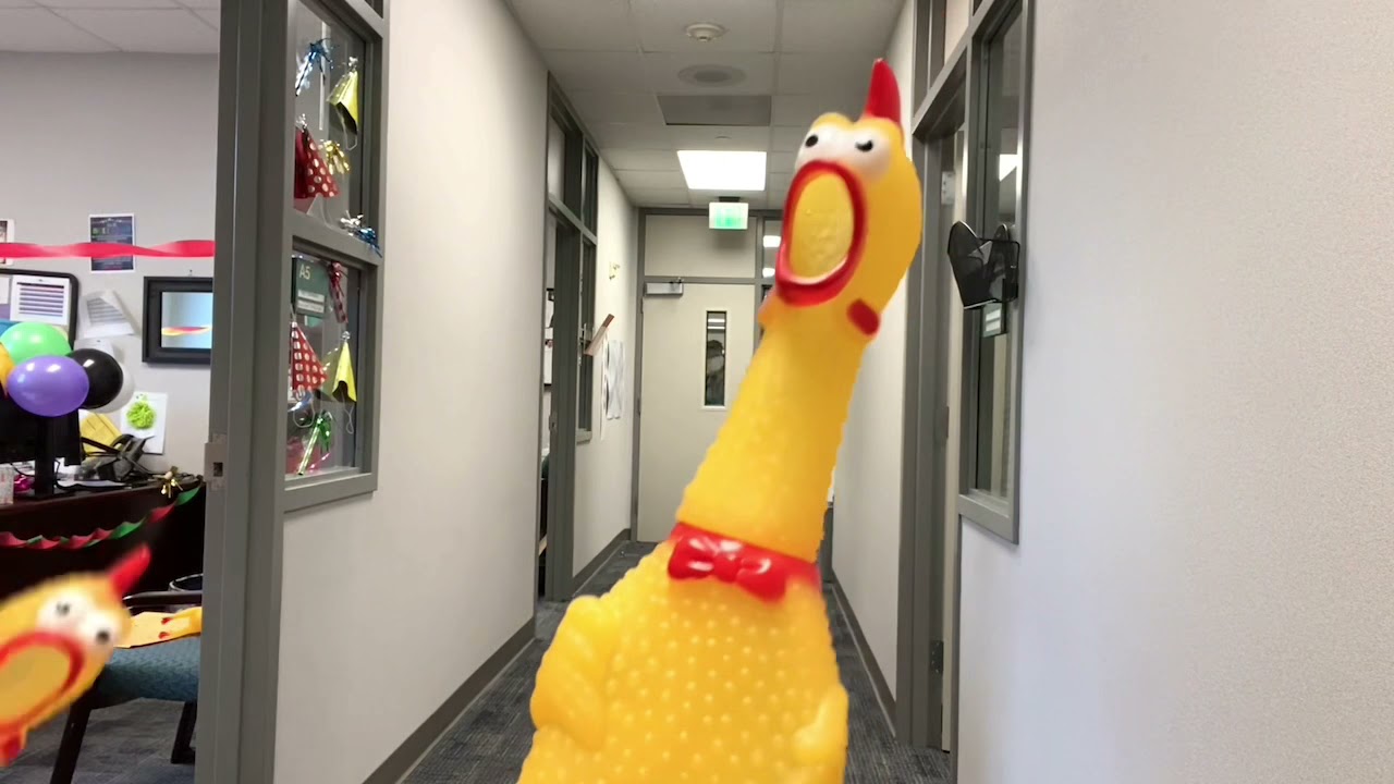 Everything is Awesome at Franz 2021-2022