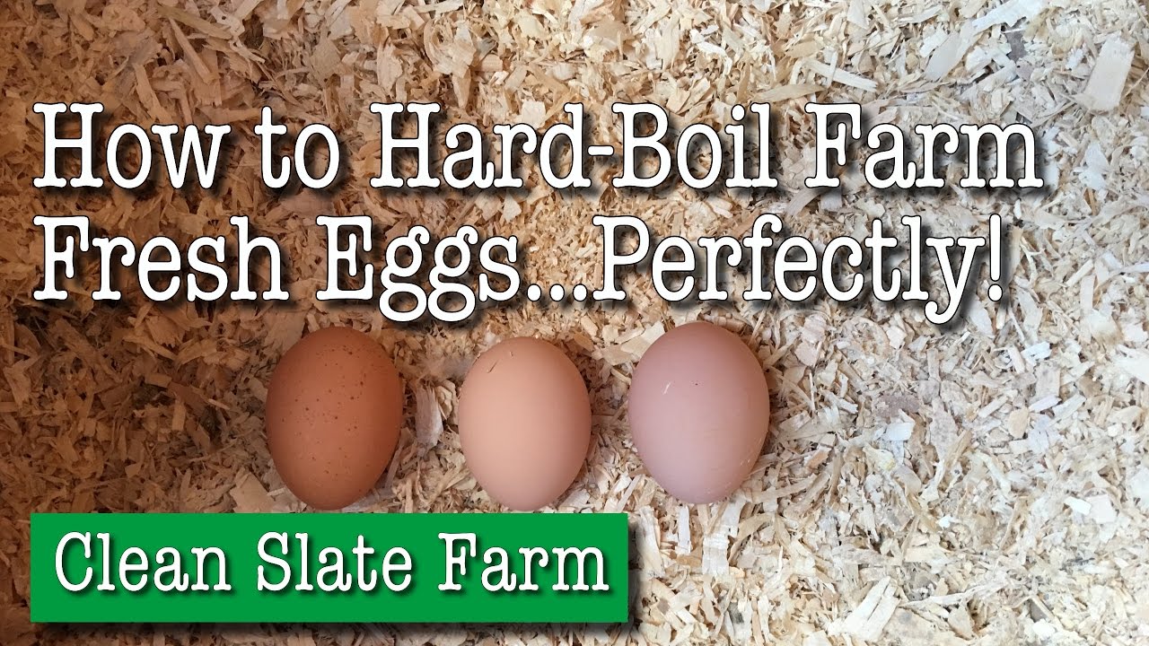 How to Hard-Boil Farm Fresh Eggs Perfectly