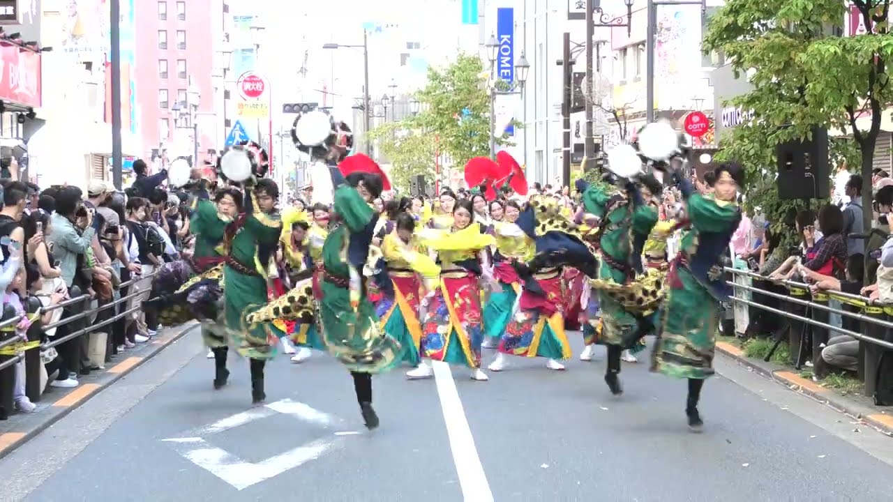 kagura  東京よさこい2024 ［本祭］みずき通り会場