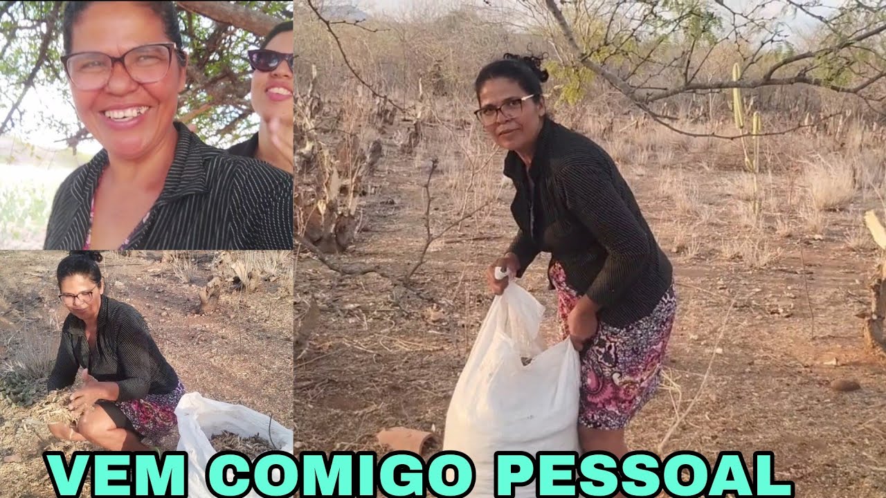 DESCOBRI UM NOVO SUBSTRATO MARAVILHOSO FUI BUSCAR MAIS MINHA FILHA LÁ NA CASA VELHA