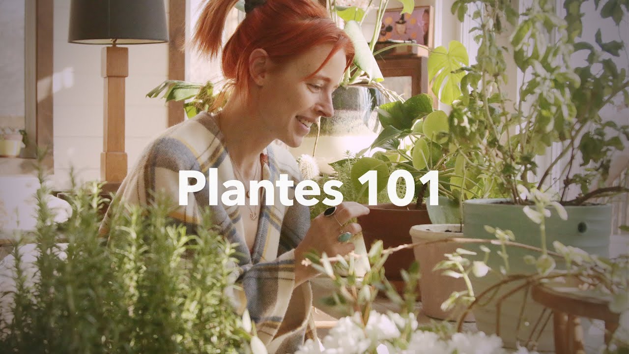 Comment prendre soin de ses plantes | Astuces pour avoir le pouce vert