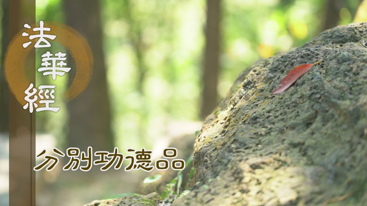 【靜思妙蓮華】法華經分別功德品 - 能行三法 自化利他 - 20240111 第1587集