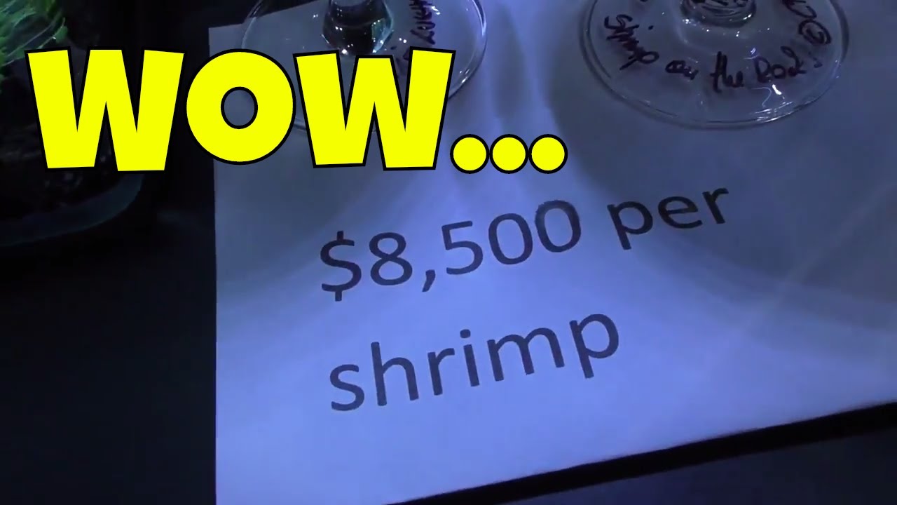 The Most Expensive Shrimp in the USA - 2017 International Shrimp Contest