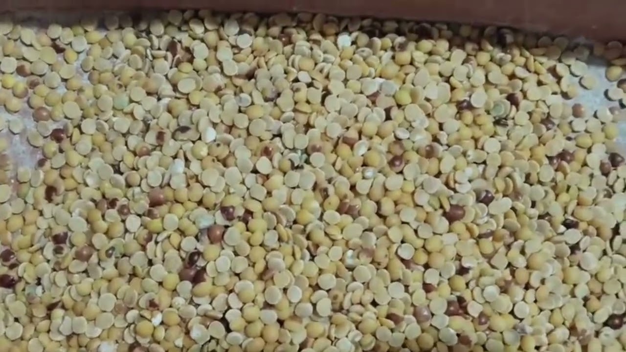 Lalli agro industries omerga